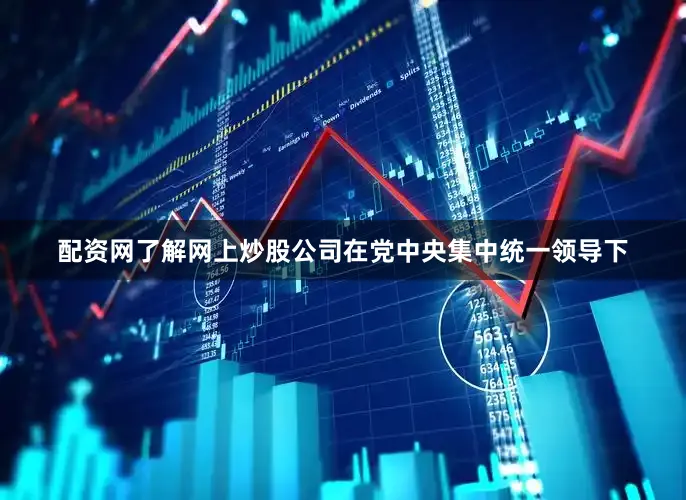 配资网了解网上炒股公司在党中央集中统一领导下