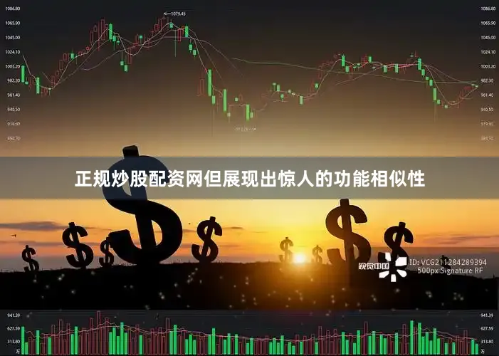 正规炒股配资网但展现出惊人的功能相似性