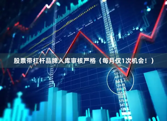 股票带杠杆品牌入库审核严格（每月仅1次机会！）