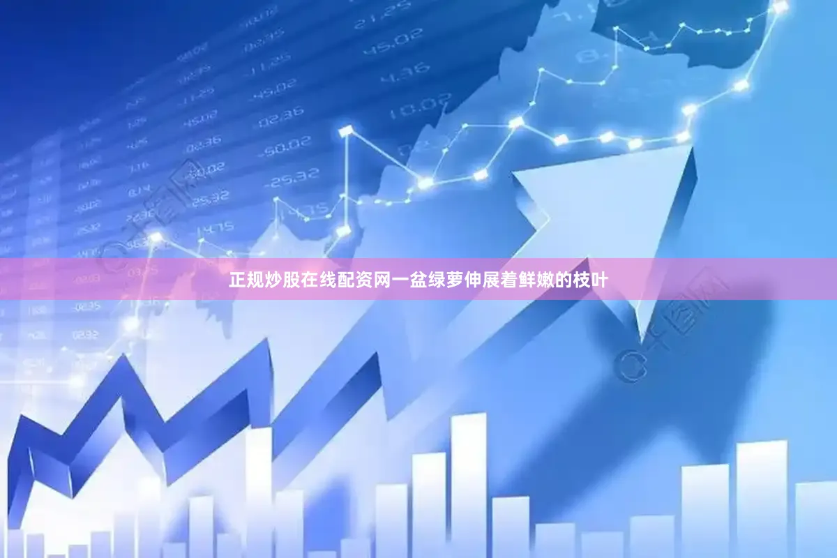 正规炒股在线配资网一盆绿萝伸展着鲜嫩的枝叶
