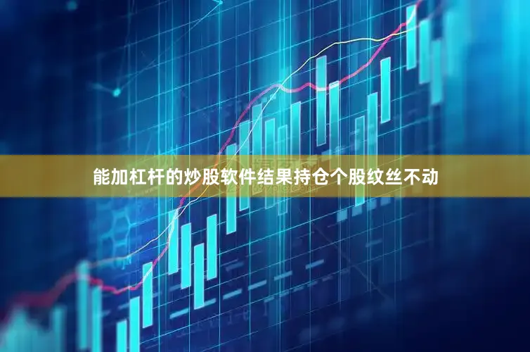 能加杠杆的炒股软件结果持仓个股纹丝不动